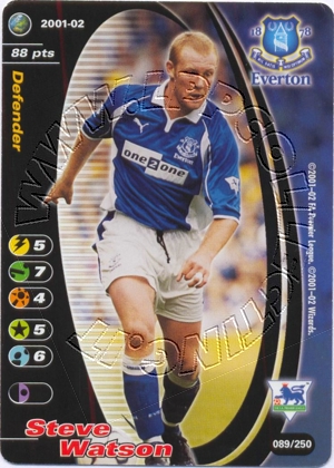 Everton 2001/02 - Steve Watson