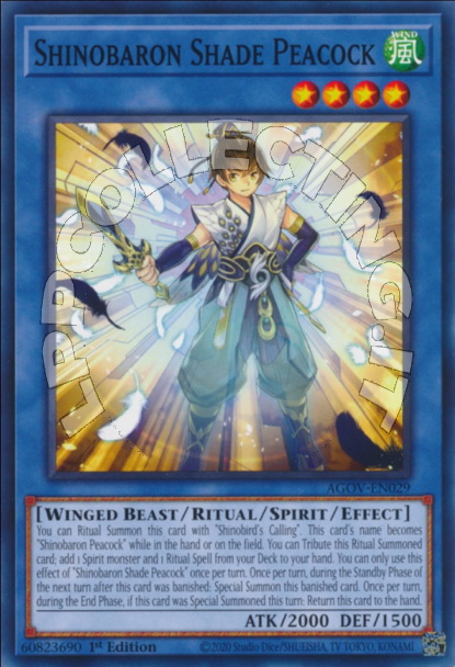 Shinobaron Shade Peacock