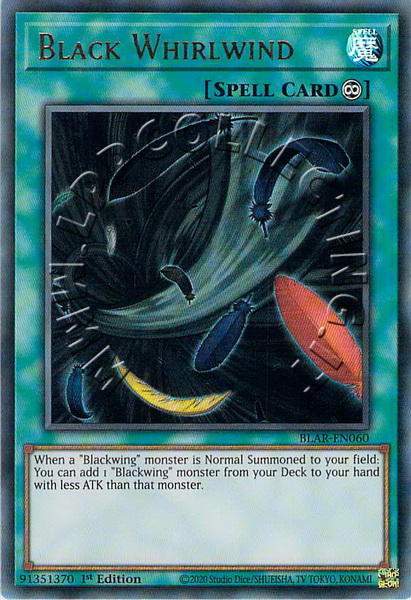 Black Whirlwind