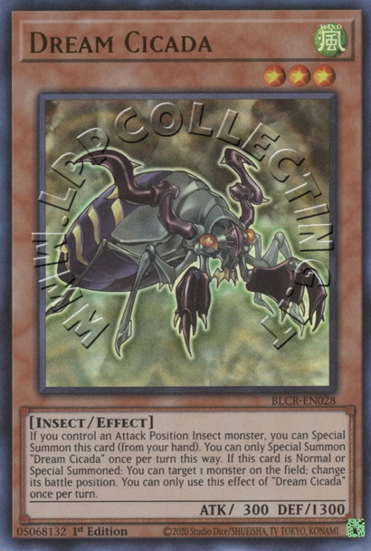 Dream Cicada