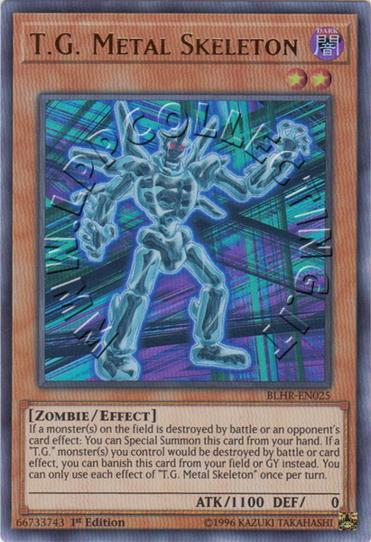 T.G. Metal Skeleton