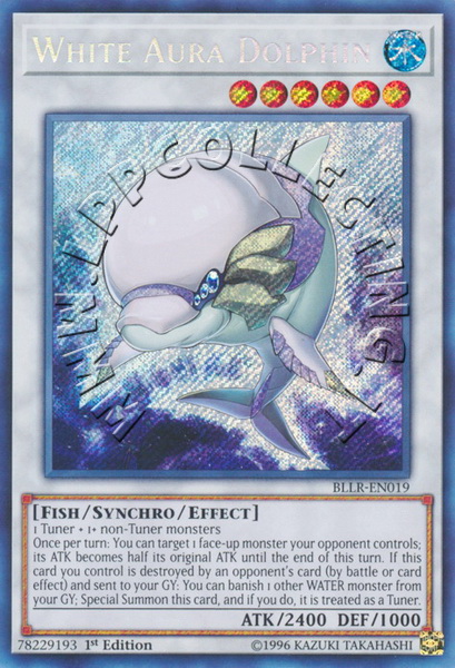 White Aura Dolphin