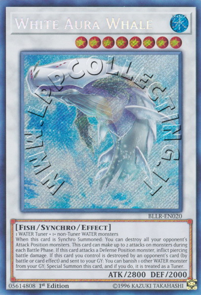 White Aura Whale
