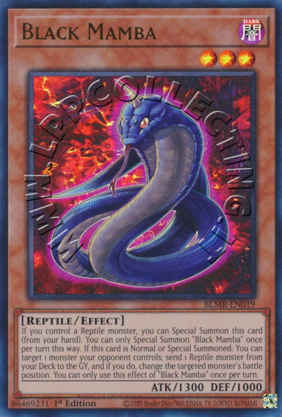 Black Mamba