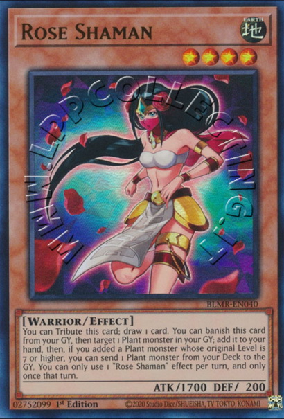 Rose Shaman