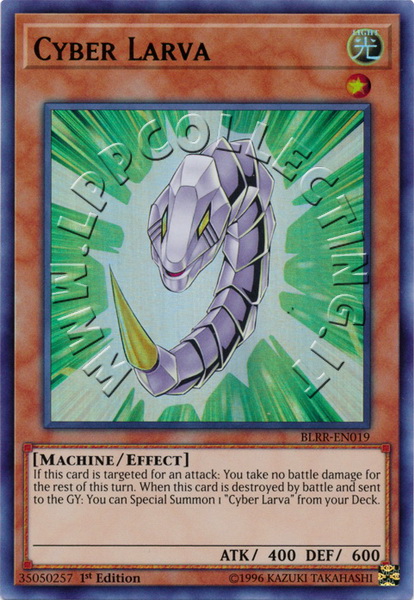 Cyber Larva