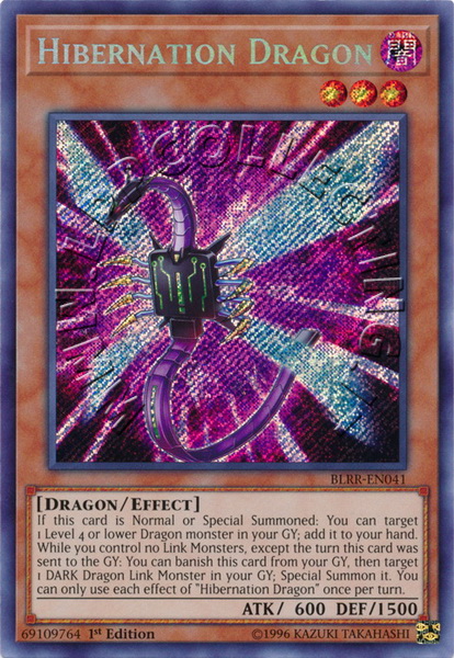 Hibernation Dragon