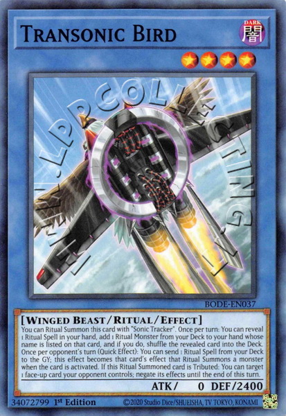 Transonic Bird