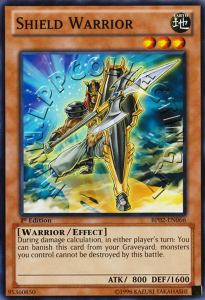 Shield Warrior