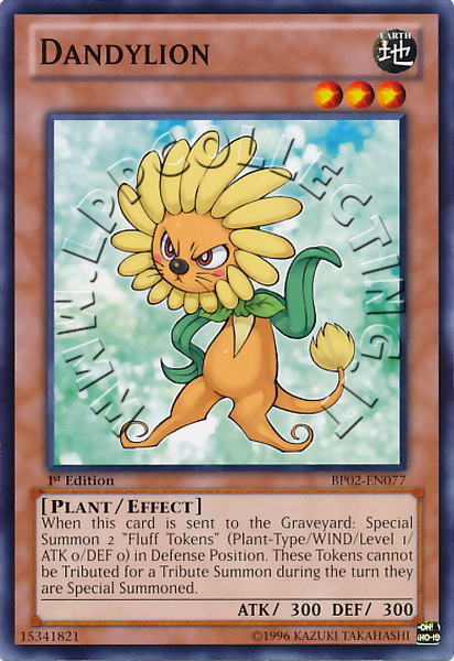 Dandylion