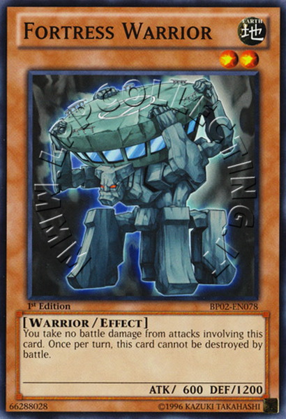 Fortress Warrior