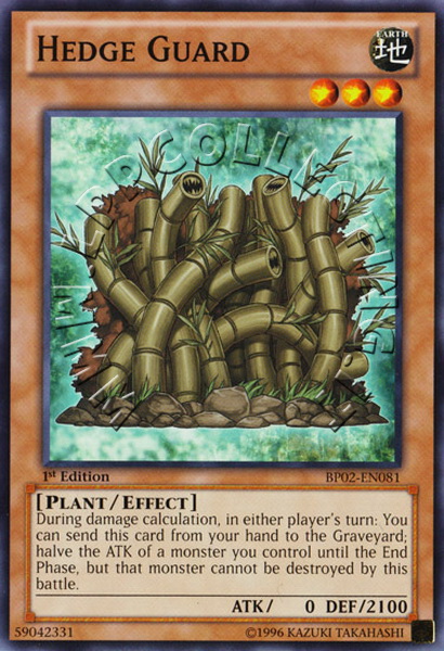Hedge Guard