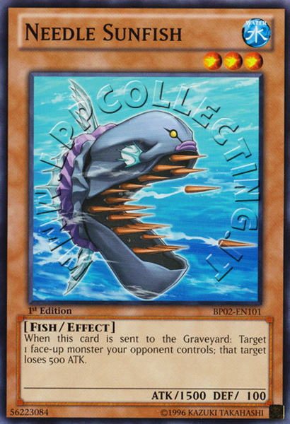 Needle Sunfish