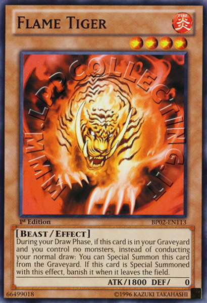 Flame Tiger