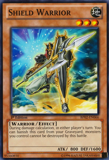 Shield Warrior