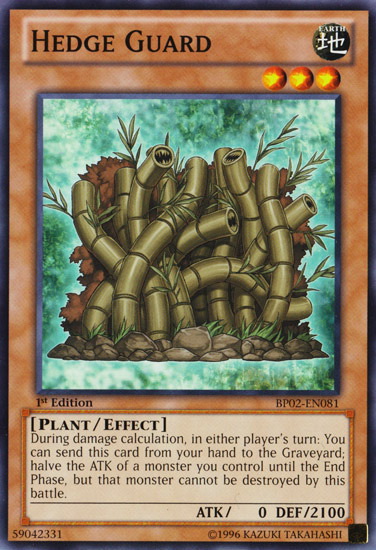 Hedge Guard