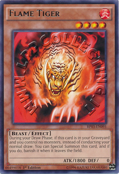 Flame Tiger