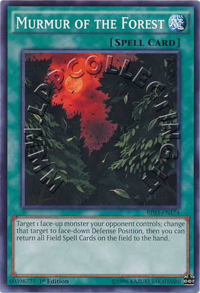Murmur of the Forest