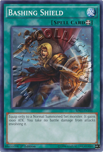 Bashing Shield