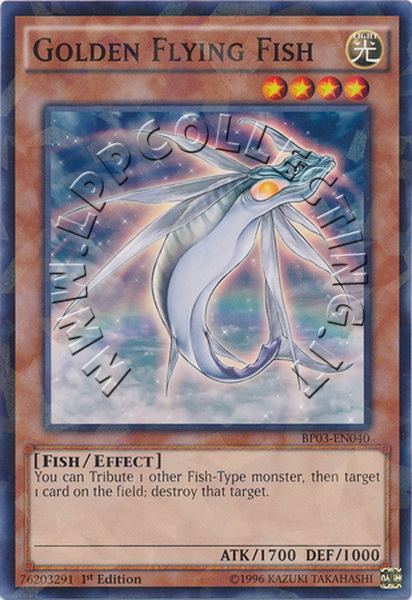 Golden Flying Fish