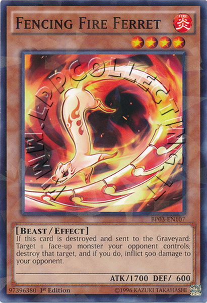 Fencing Fire Ferret