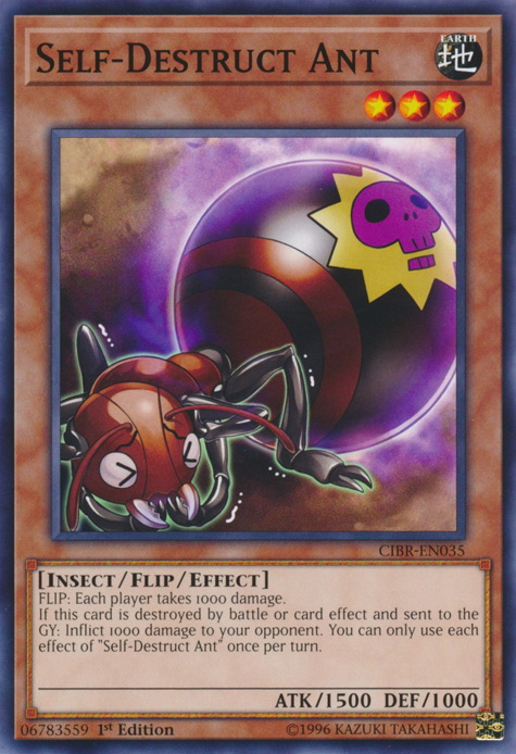 Self-Destruct Ant