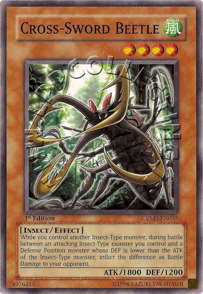 Cross-Sword Beetle