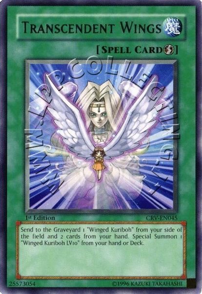 Transcendent Wings