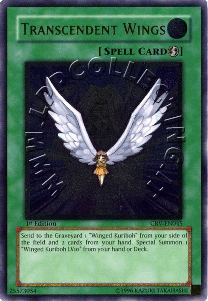 Transcendent Wings