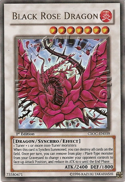 Black Rose Dragon 