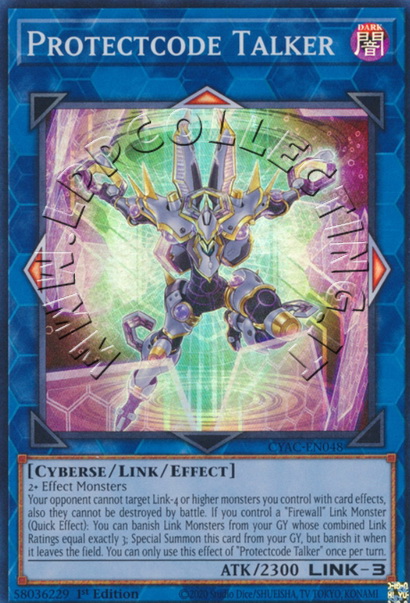 Protectcode Talker