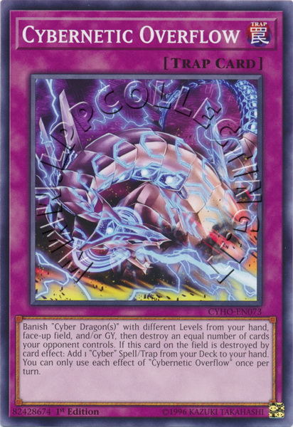 Cybernetic Overflow