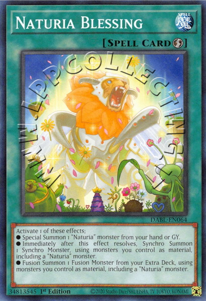Naturia Blessing