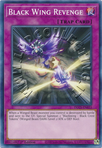Black Wing Revenge