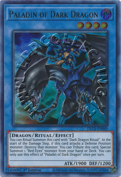 Paladin of Dark Dragon