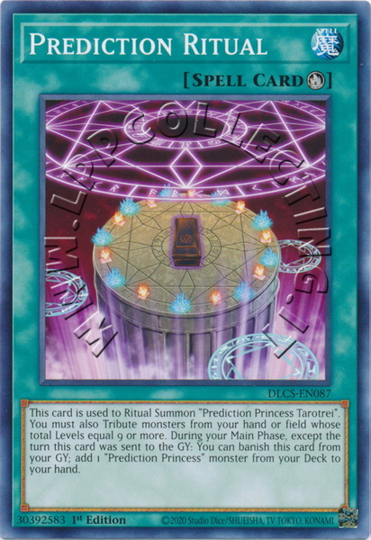 Prediction Ritual