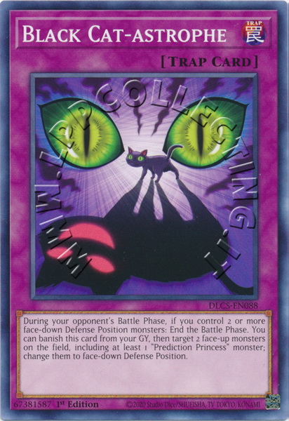 Black Cat-astrophe