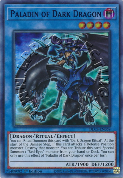 Paladin of Dark Dragon