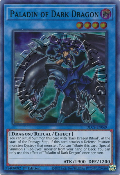 Paladin of Dark Dragon