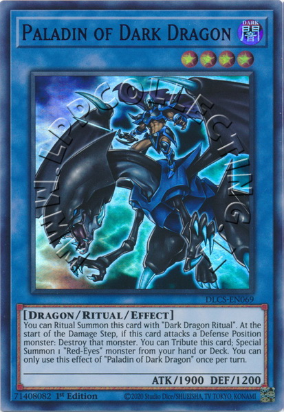 Paladin of Dark Dragon