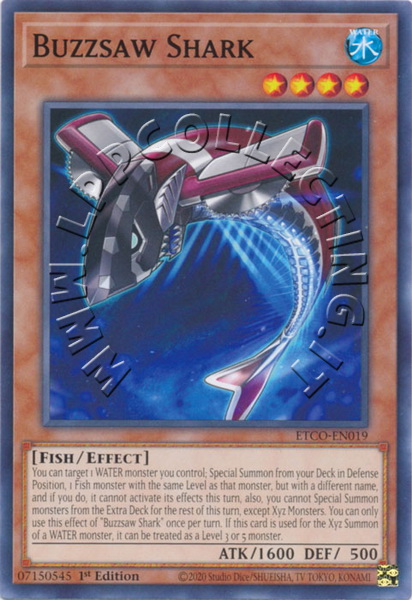 Buzzsaw Shark