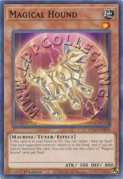 Magical Hound