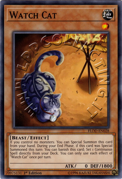 Watch Cat