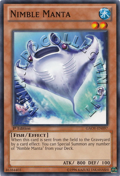 Nimble Manta