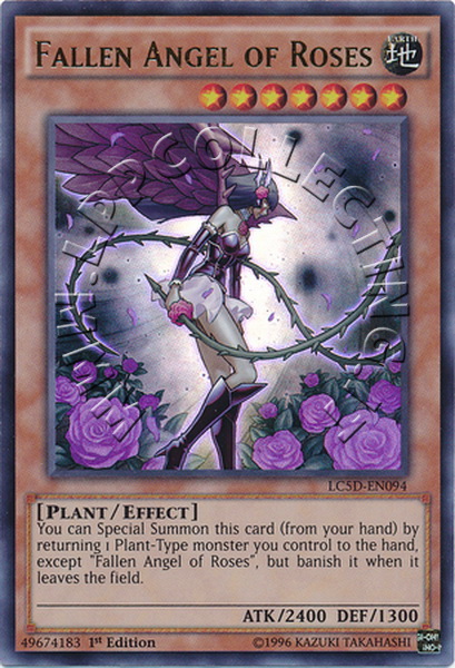 Fallen Angel of Roses