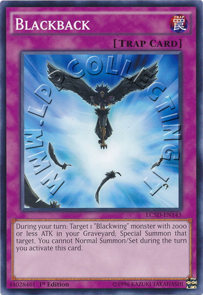 Blackback