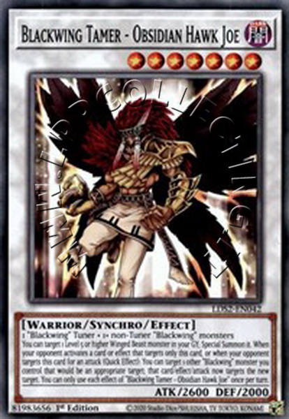 Blackwing Tamer - Obsidian Hawk Joe