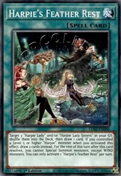 Harpie