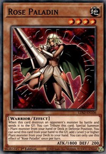 Rose Paladin