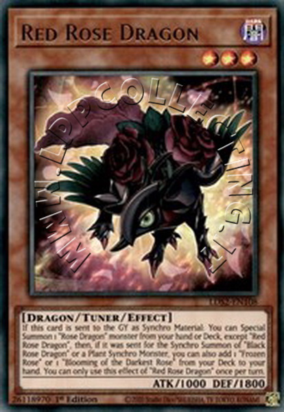 Red Rose Dragon